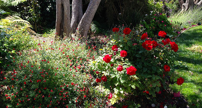 Heaven and Earth Garden Design 9
